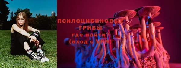гидра Бородино