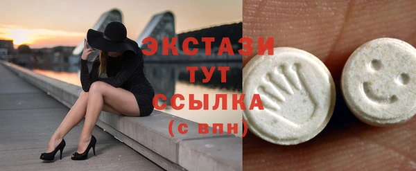 гидра Бородино