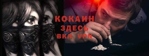 гидра Бородино