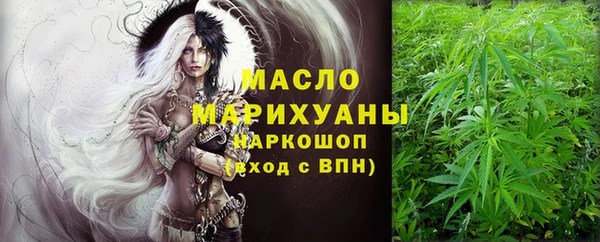 гидра Бородино