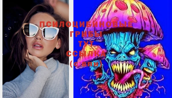 гидра Бородино
