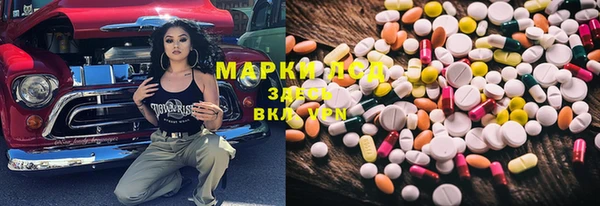 гидра Бородино